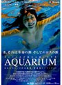 企画|｜AQUARIUM-アクアリウム-